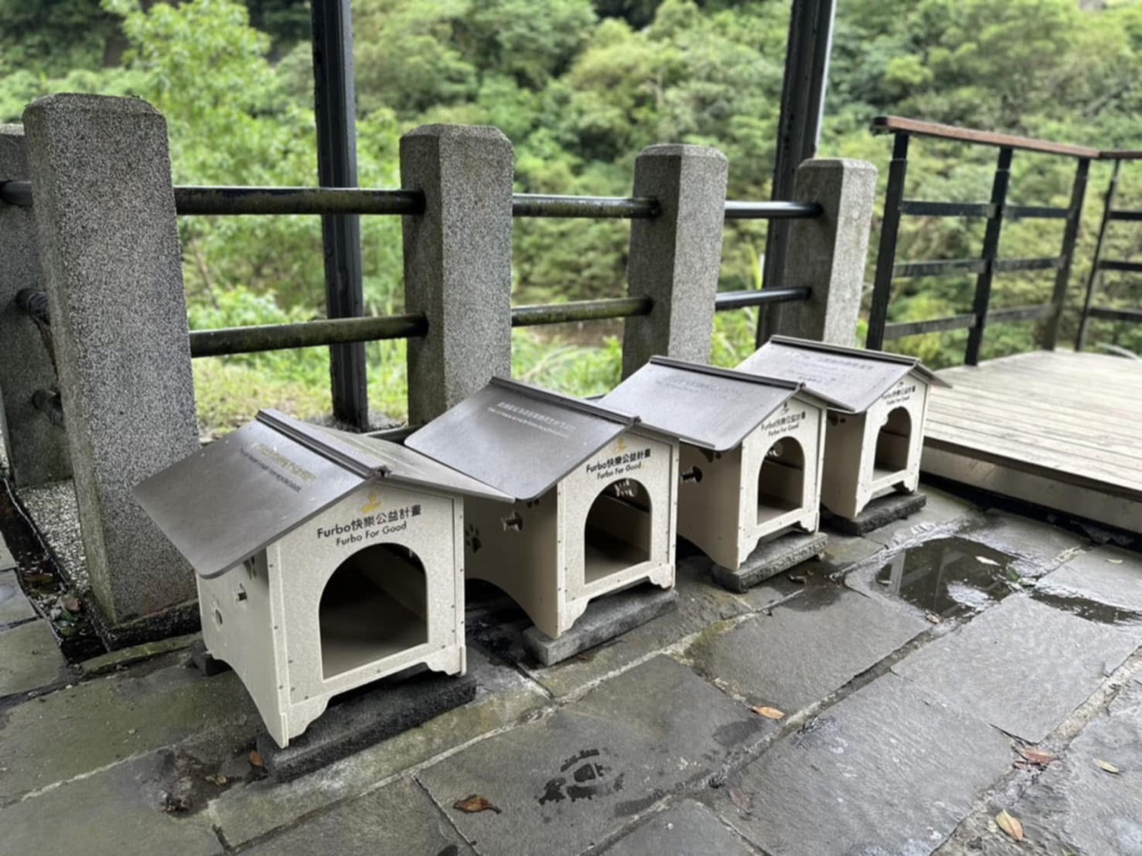 猴硐貓屋・工藝合作計畫・猴硐貓屋・現場配置與屋體外觀